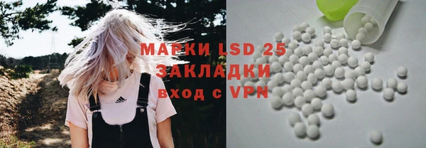 гашик Няндома