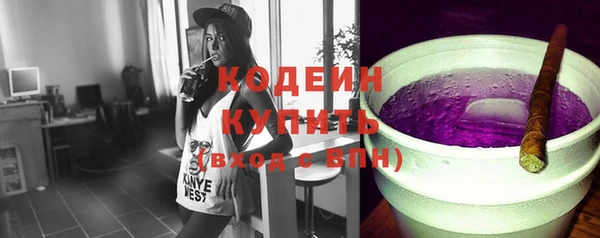 гашик Няндома