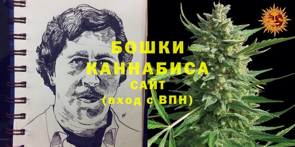 дурь Нягань