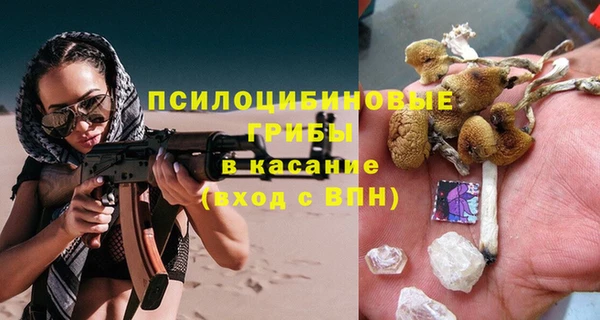 гашик Няндома