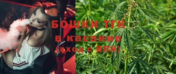 гашик Няндома