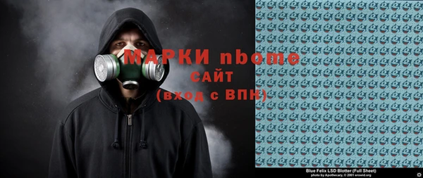 гашик Няндома