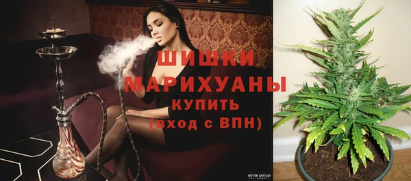 гашик Няндома