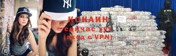 гашик Няндома