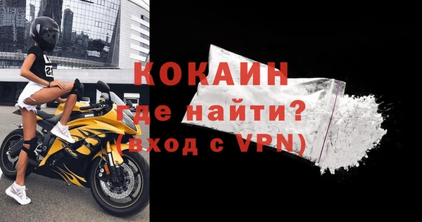 гашик Няндома