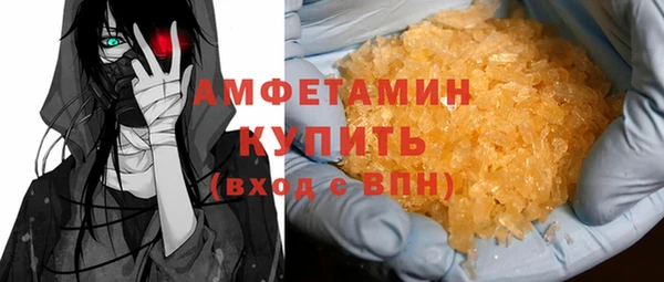 гашик Няндома